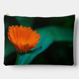 Oranje Madeliefje Bloem Foto Etui