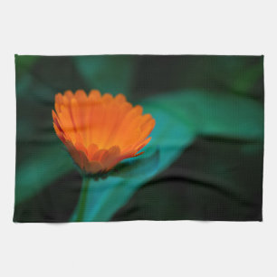 Oranje Madeliefje Bloem Foto Theedoek