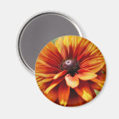 Oranje Madeliefje Bloem Magneet (Voorkant / Achterkant)