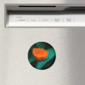 Oranje madeliefje bloem magneet (Insitu (Vaatwasser))