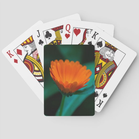 Oranje madeliefje bloem pokerkaarten (Achterkant)