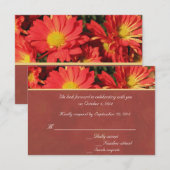 Oranje madeliefje bloem RSVP bruiloft Kaart (Voorkant / Achterkant)