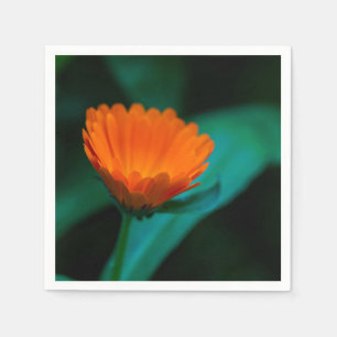 Oranje madeliefje bloem servet