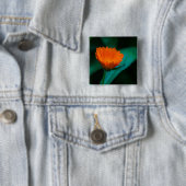 Oranje madeliefje bloem vierkante button 5,1 cm (In situ)