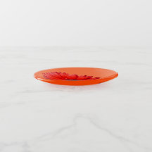 Oranje Madeliefje Botanisch Glas