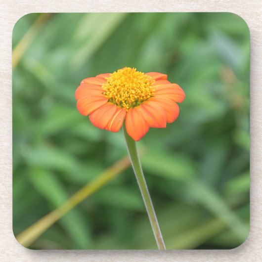 Oranje madeliefje harde plastic onderzetters (Voorkant)