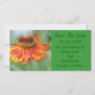 Oranje madeliefjes bloemen trouwen herinnering dat save the date