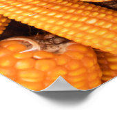 Oranje maïskolf: oogstlandbouw achtergrond poster (Hoek)