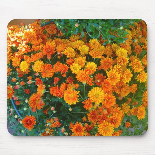 Oranje Margarita Daisy Mousepad Muismat (Voorkant)