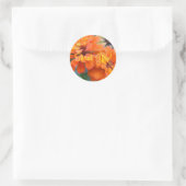 Oranje marges ronde sticker (Tas)