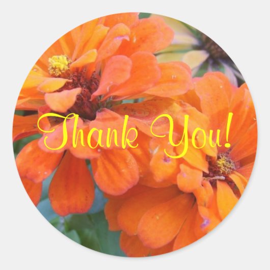 Oranje marges ronde sticker (Voorkant)