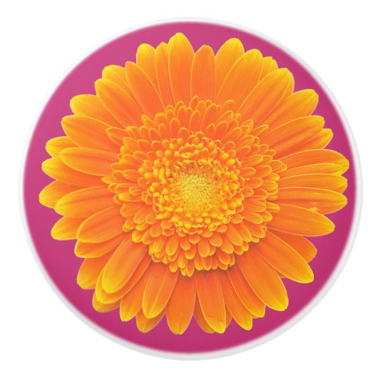 oranje margriet deurknop keramische knop (Voorkant)