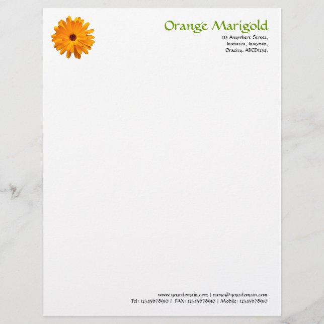 Oranje Marigold Briefhoofd Sjabloon (Voorkant)