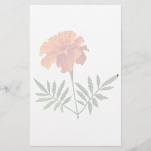 Oranje Marigold Briefpapier