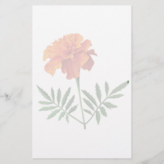 Oranje Marigold Briefpapier (Voorkant)