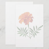 Oranje Marigold Briefpapier (Voorkant / Achterkant)