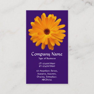 Oranje Marigold - Deep Paars Visitekaartje