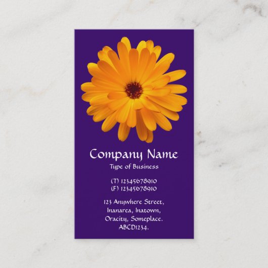 Oranje Marigold - Deep Paars Visitekaartje (Voorkant)