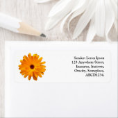 Oranje Marigold Etiket (Insitu)