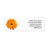 Oranje Marigold Etiket (Voorkant)