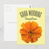 Oranje Marigold Good Morning Sunshine Briefkaart (Voorkant / Achterkant)
