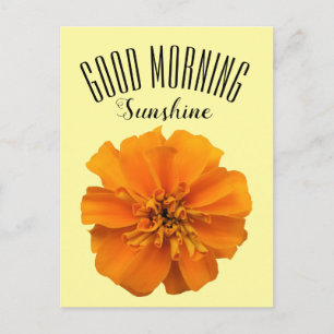 Oranje Marigold Good Morning Sunshine Briefkaart