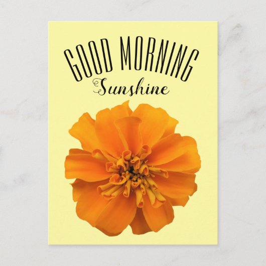 Oranje Marigold Good Morning Sunshine Briefkaart (Voorkant)
