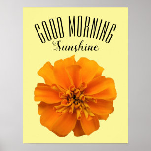 Oranje Marigold Good Morning Sunshine Poster