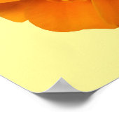 Oranje Marigold Good Morning Sunshine Poster (Hoek)