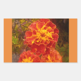 Oranje Marigold Herfst Morning Dew Sticker