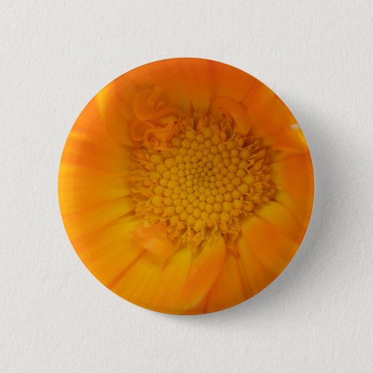 Oranje Marigold Macro Button (Voorkant)