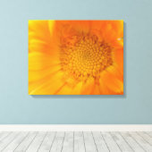 Oranje Marigold Macro Canvas afdrukken (Insitu (Houten vloer))