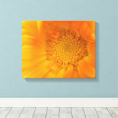 Oranje Marigold Macro Canvasprint Canvas Afdruk (Insitu (Houten vloer))