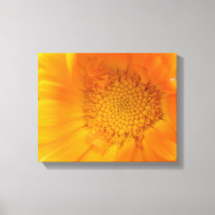 Oranje Marigold Macro Canvasprint Canvas Afdruk