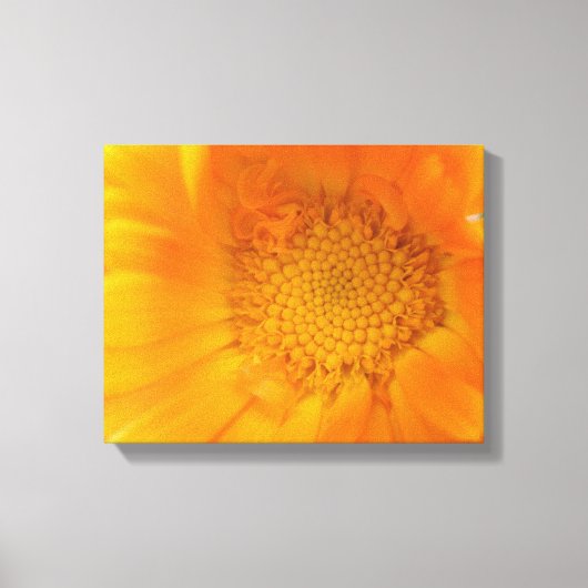Oranje Marigold Macro Canvasprint Canvas Afdruk (Voorkant)