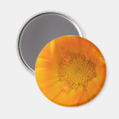 Oranje Marigold Macro Magneet (Voorkant / Achterkant)