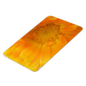 Oranje Marigold Macro Premium Magnet Magneet (Linkerzijde)