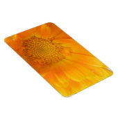 Oranje Marigold Macro Premium Magnet Magneet (Rechterzijde)