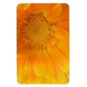 Oranje Marigold Macro Premium Magnet Magneet (Verticaal)