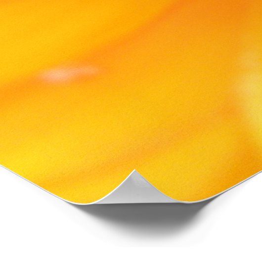 Oranje Marigold Macro Print (Hoek)