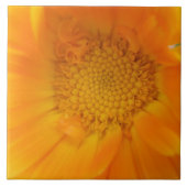 Oranje Marigold Macro Tile Tegeltje (Voorkant)