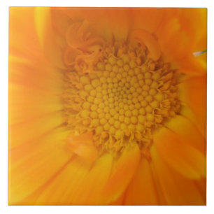 Oranje Marigold Macro Tile Tegeltje