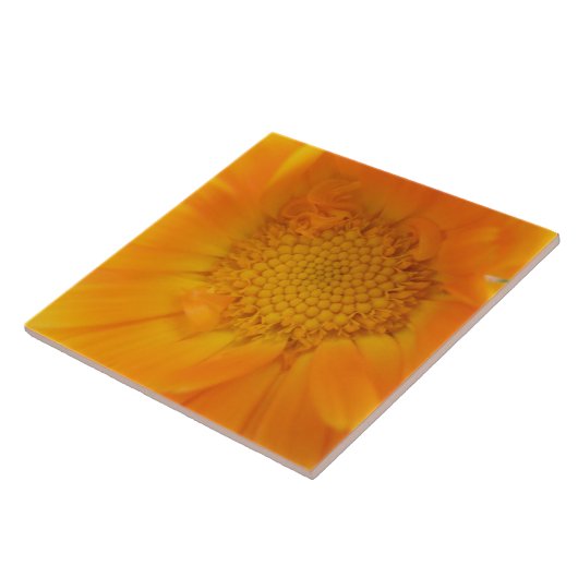 Oranje Marigold Macro Tile Tegeltje (Zijkant)