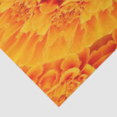 Oranje Marigold Mandala Tissuepapier (Detail)