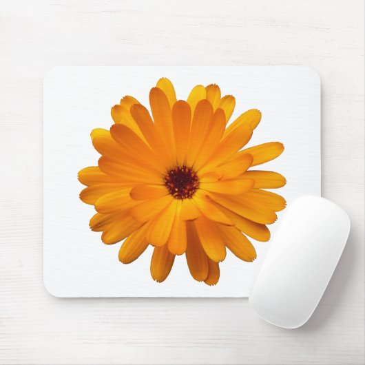 Oranje Marigold Muismat (Met muis)