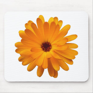 Oranje Marigold Muismat