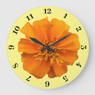 Oranje Marigold op gele achtergrond Grote Klok