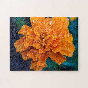 Oranje Marigold Puzzle Legpuzzel