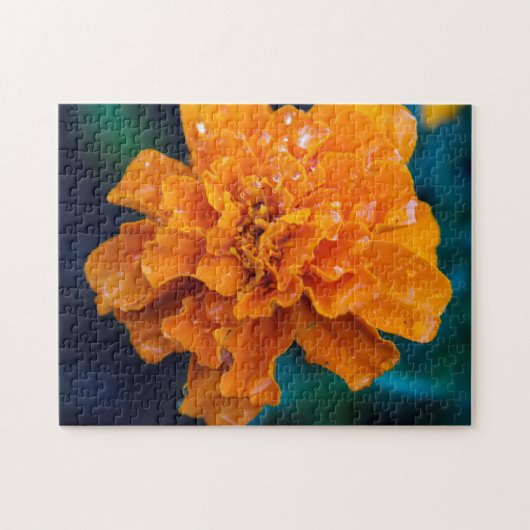 Oranje Marigold Puzzle Legpuzzel (Horizontaal)