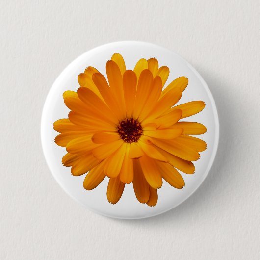 Oranje Marigold Ronde Button 5,7 Cm (Voorkant)
